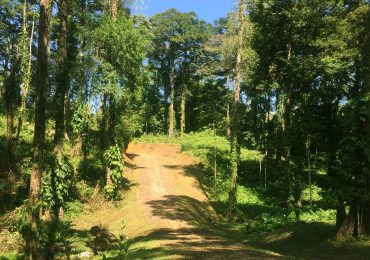 Terrenos Bocas del toro